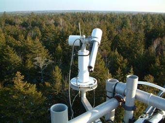 A view of the 25 m walk-up meteorological tower (lower left corner) within the forest.