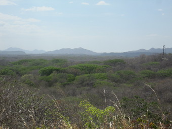 view of the land