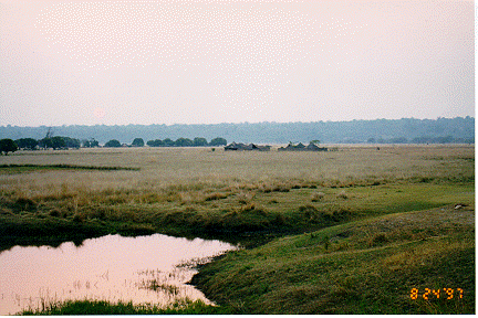 View of the Dambo measurement site